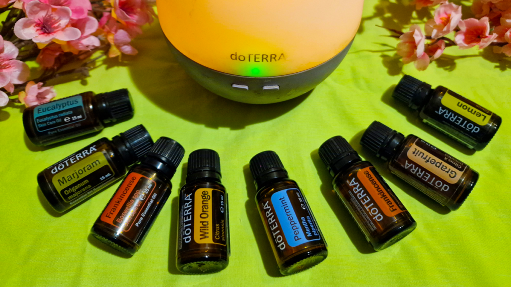 Duna-Lak Vendégház Apostag - SÓSZOBA - DOTERRA